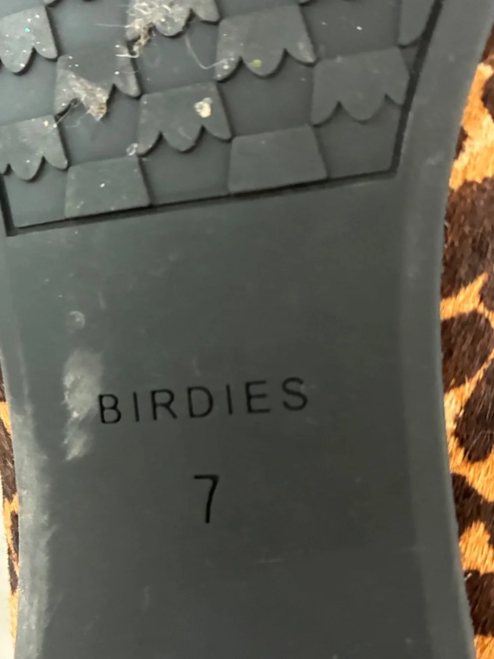 Birdies leopard print Starling flats